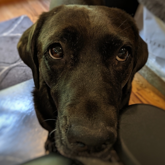 ✴️$5✴️EXPRESS Striped Capri with Belt - Picture 8 of 8